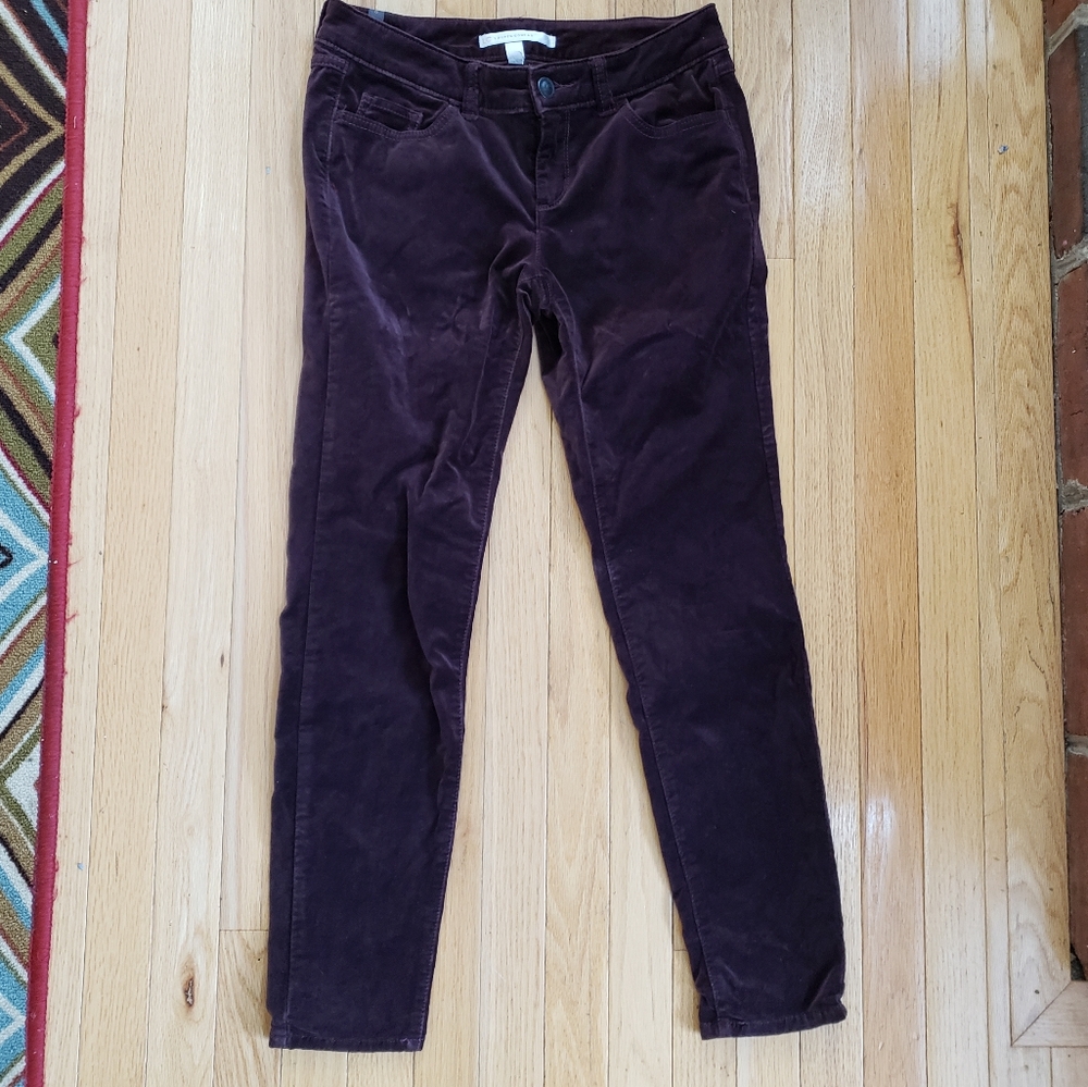 Lauren Conrad Pants 6 Purple Velour Ankle Whimsigoth Boho Cigarette Slim Stretch